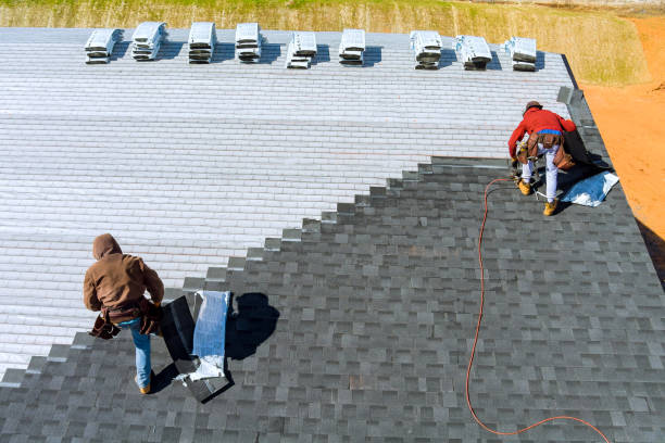 Best Storm Damage Roof Repair  in Appomattox, VA