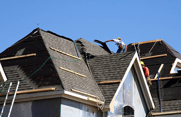 Best Chimney Flashing Repair  in Appomattox, VA