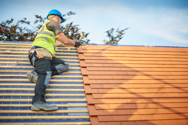 Best Roof Coating and Sealing  in Appomattox, VA