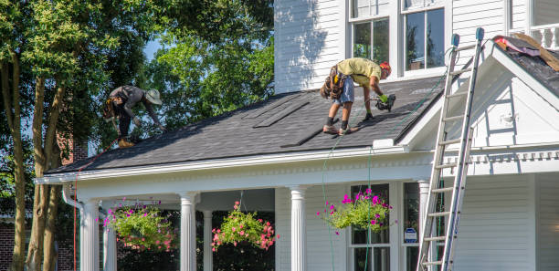 Best Metal Roofing Installation  in Appomattox, VA